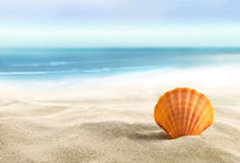 瑞士球员精彩表现，助球队逆转比分夺胜