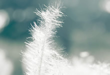 青岛黄海队实力不俗，击败对手晋级