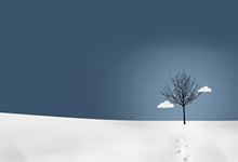 亚洲足球巅峰赛事：越南队陷困境